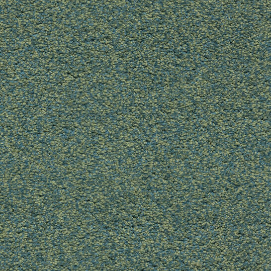 Care Tech Carpet