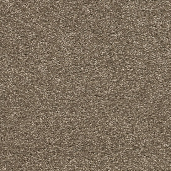Care Tech Carpet