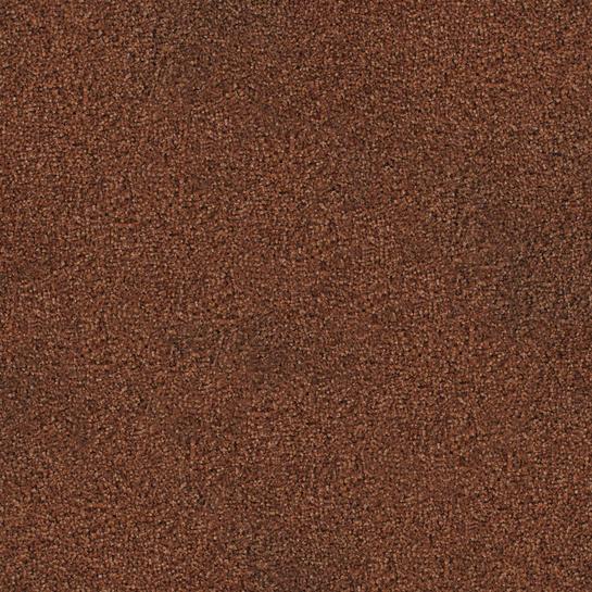 Care Tech Plus Carpet