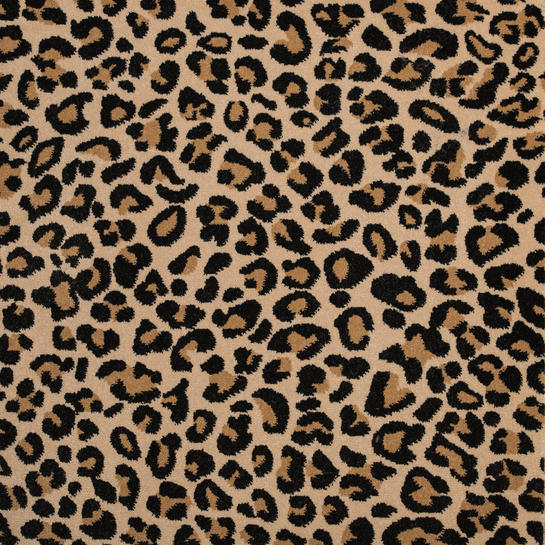 Contessa Wild Carpet