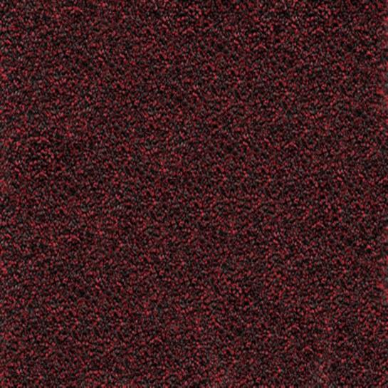 Entrada Entrance Matting