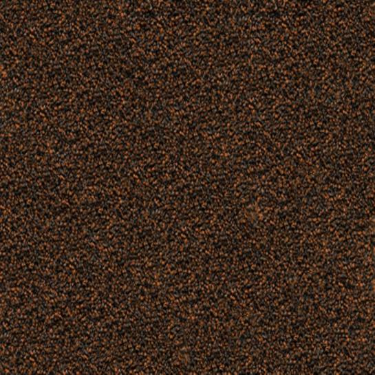 Entrada Entrance Matting