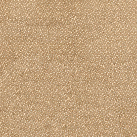 Zeta Tech Carpet