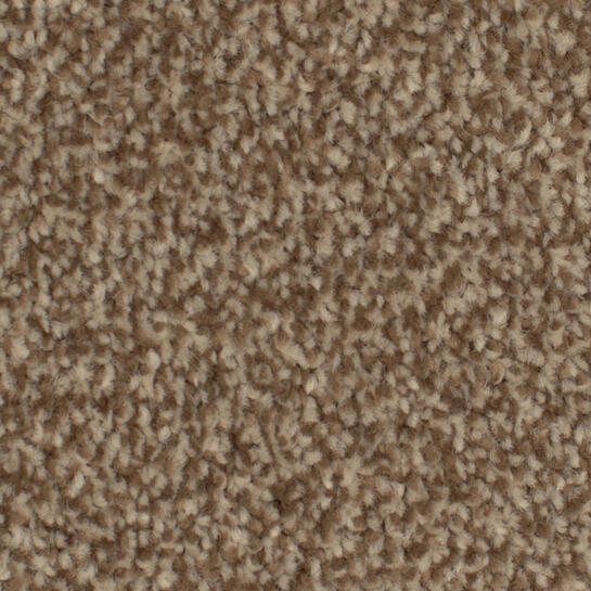 Zeta Tech Carpet