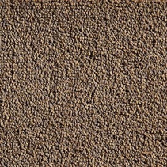 Care Tech Carpet