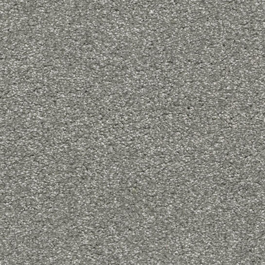 Care Tech Carpet
