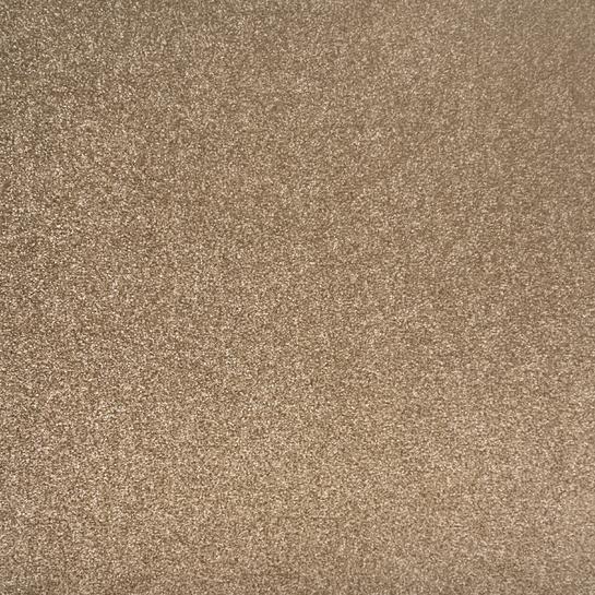 Beta Tech Carpet