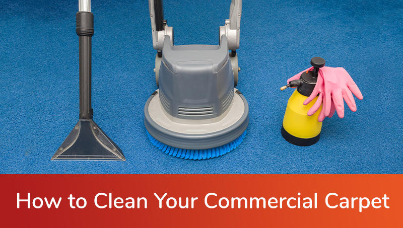 How to clean carpet without a machine deals