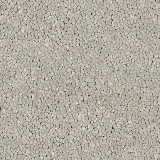 Silk Royal Carpet