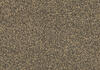 Pumice
