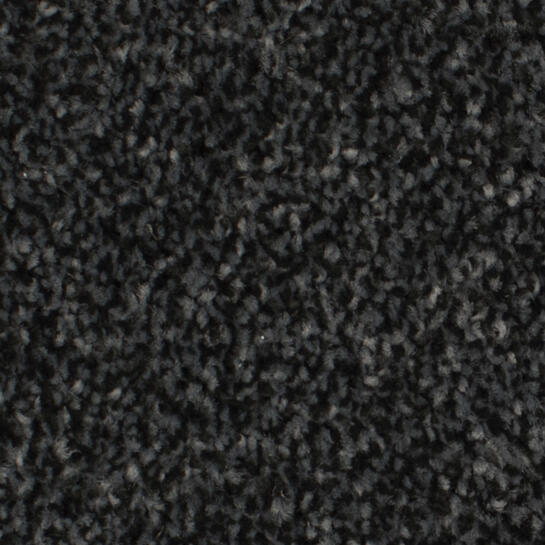 Zeta Tech Carpet