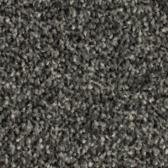 Zeta Tech Carpet