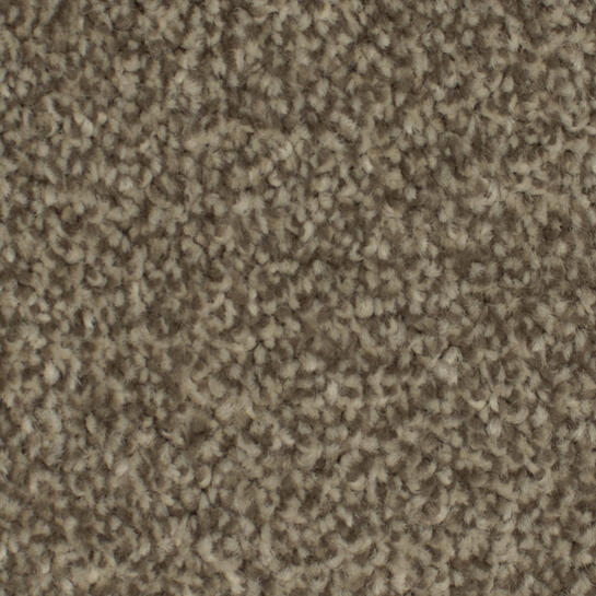 Zeta Tech Carpet